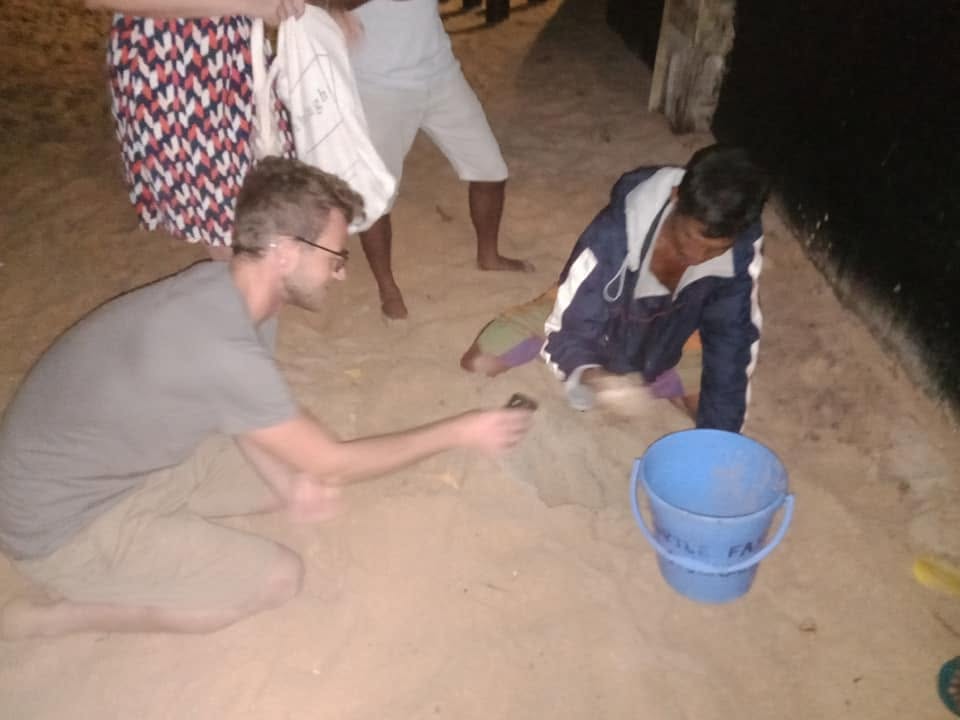 Sea Turtle Sanctuary Koggala