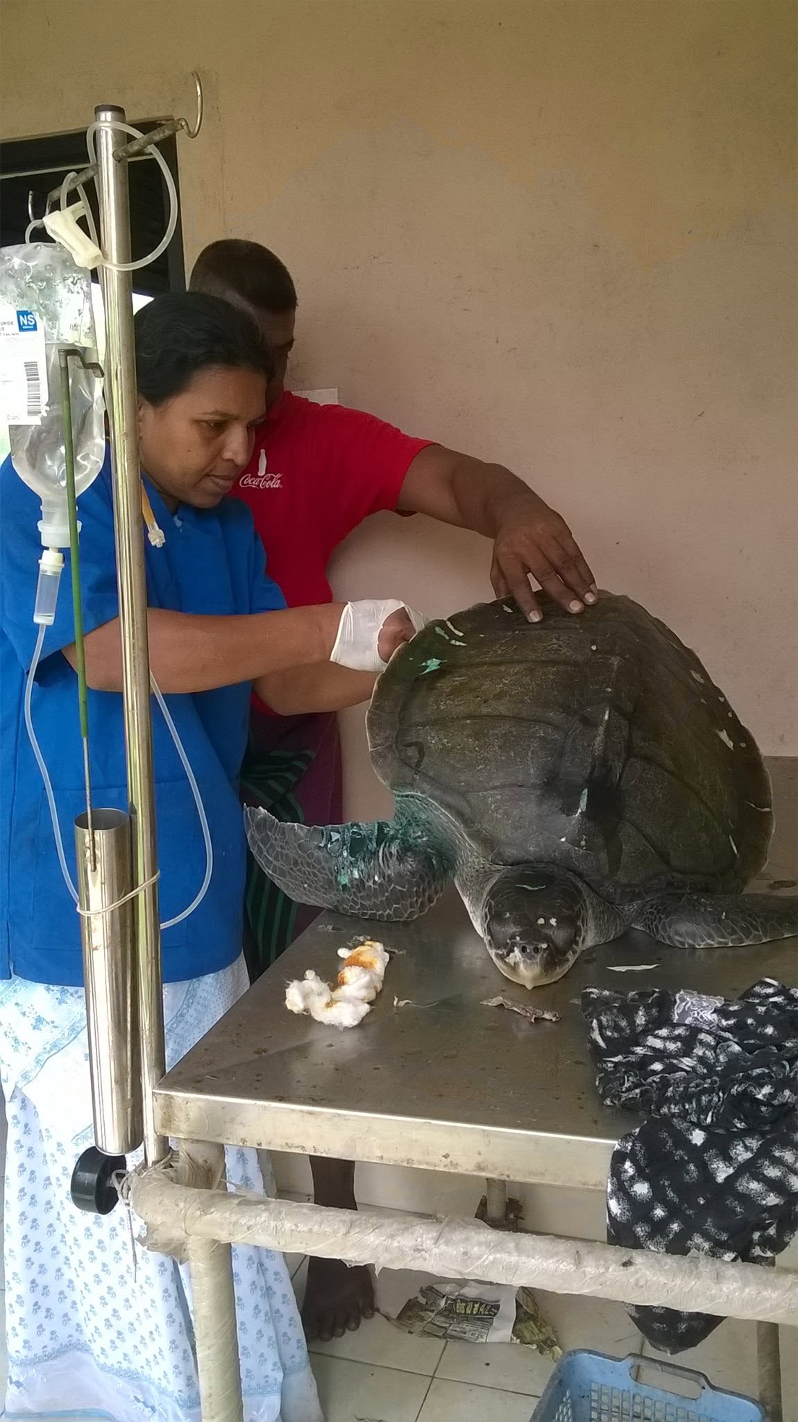 Sea Turtle Sanctuary Koggala